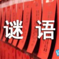 猜字谜语大全和谜底,谜底揭晓，智慧与乐趣并存的文字游戏