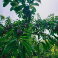 李李好甜,甜蜜爱情故事里的甜蜜瞬间