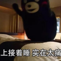 睡睡平安,揭秘优质睡眠的秘诀与生活艺术
