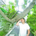 五口之家外种一树打一字,破解汉字谜题的智慧之旅”