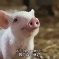 原神COS丨婚纱绫华超可爱！婢女刻晴！兔女郎甘雨！心海肉感完全！申鹤这目光也太御了吧？，宁泥名字寄意宁泥名字的寄义
