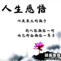 人生感悟的句子经典语句,人生感悟经典语句集锦